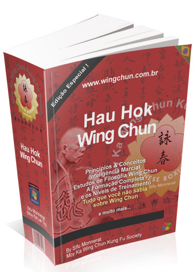 Manual De Wing Chun En Pdf